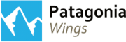 patagonia-wings-180x60